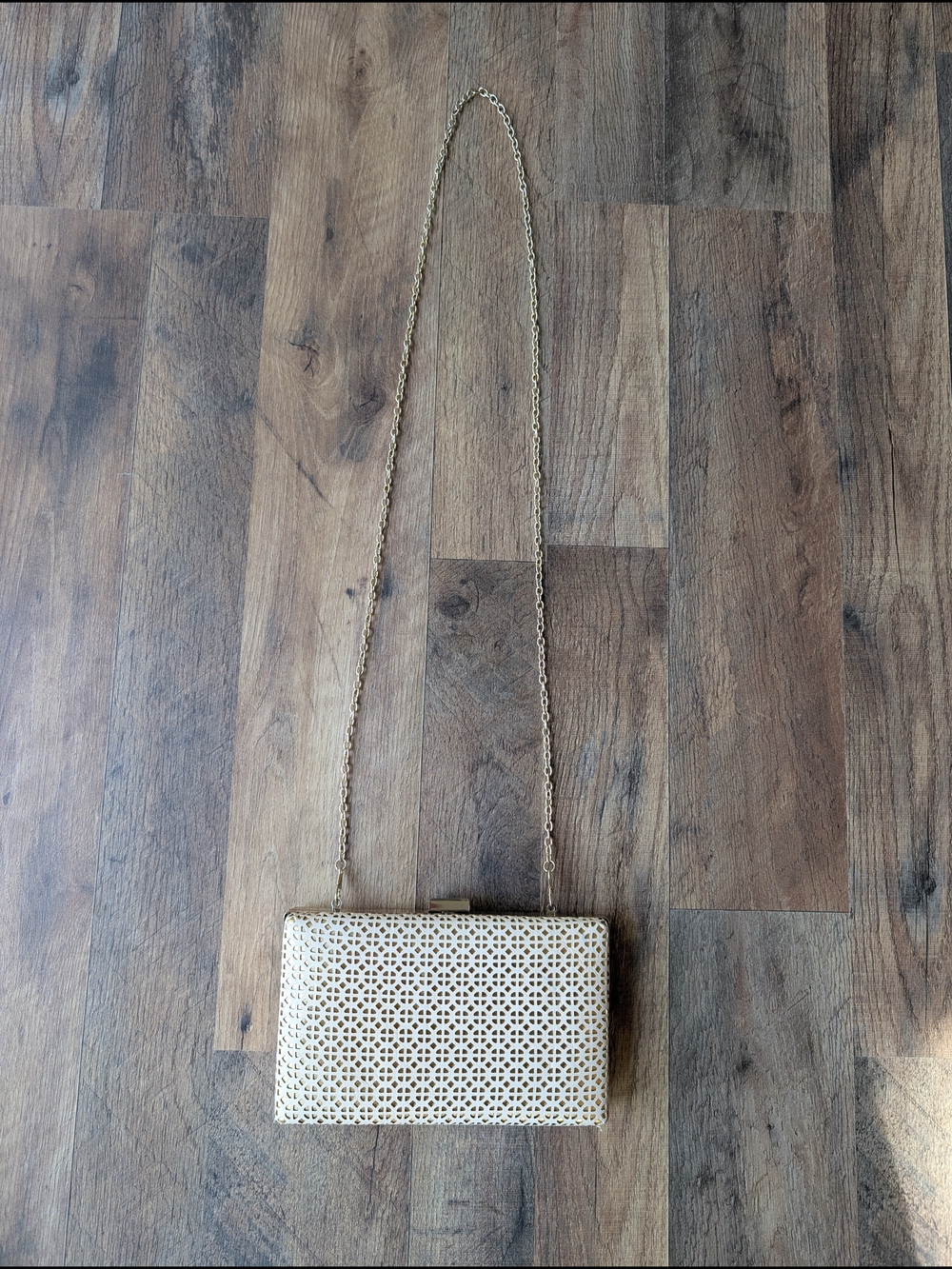 Women’s Ivory and Gold Laser-Cut Chain Clutch with Gold Trim - Picture 3 of 3